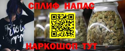 прущие крисы Будённовск