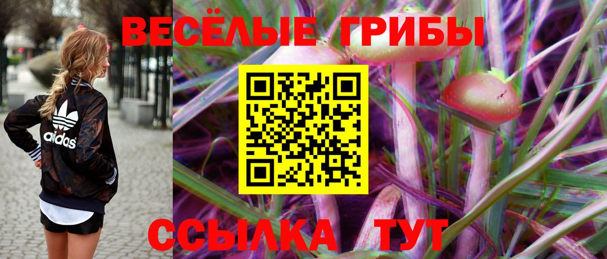 Псилоцибиновые грибы Psilocybe  Вход с VPN  Черкесск 