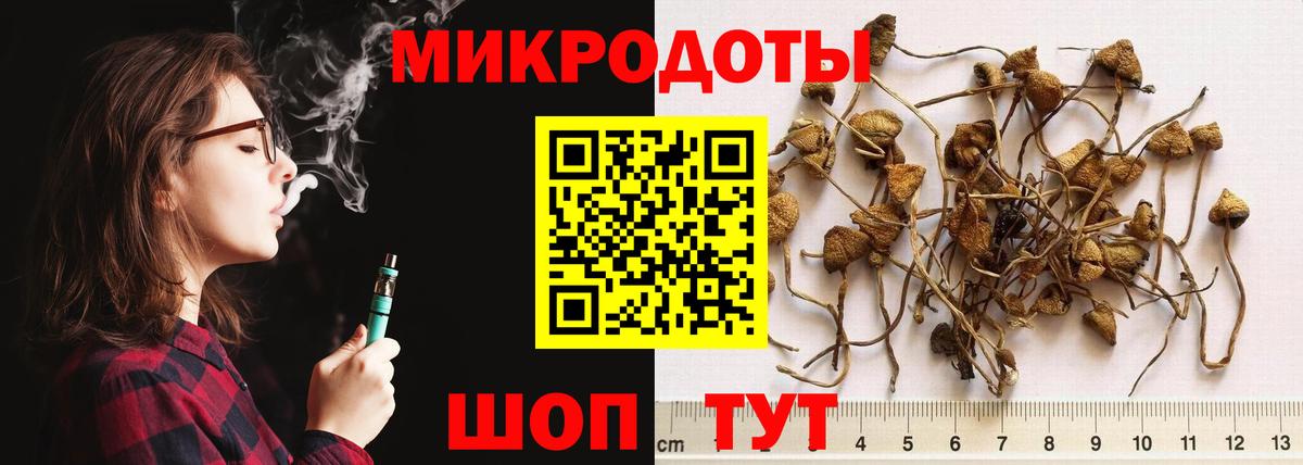 Галлюциногенные грибы Cubensis Черкесск