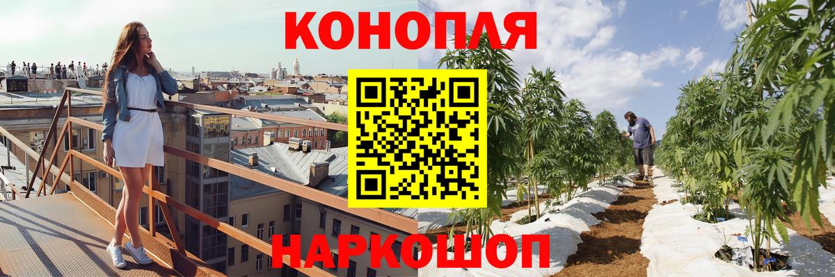 Черкесск  Бошки марихуана семена  Каннабис THC 21%  Вход с VPN  Конопля семена 